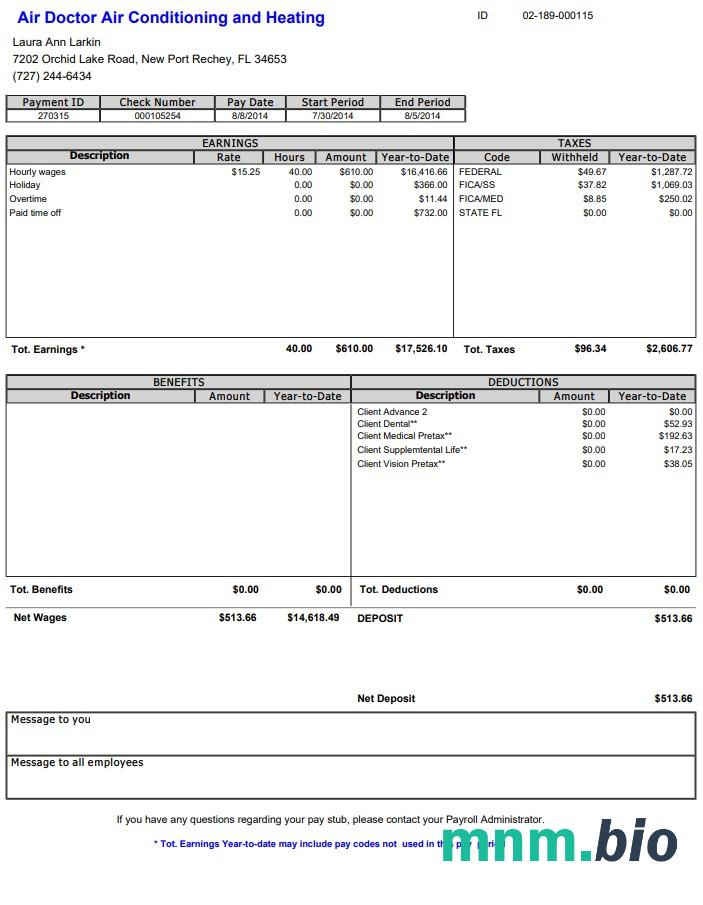 Szablon Air Doctor paystub w formatach Word i PDF